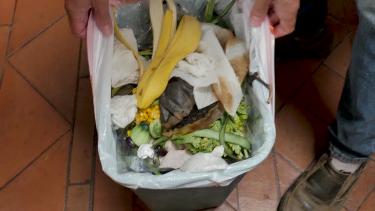 Best Dumpster Rental Services  in Bogalusa, LA